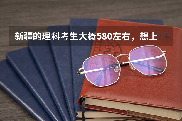 新疆的理科考生大概580左右,想上金融类的,能怎么报?
