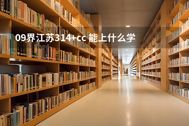 09界江苏314+cc 能上什么学校