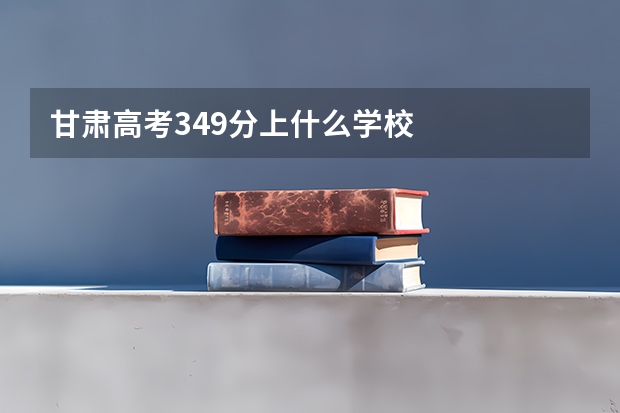 甘肃高考349分上什么学校