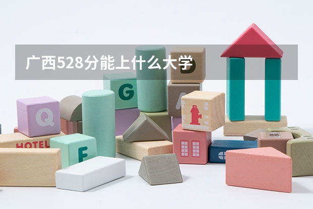 广西528分能上什么大学