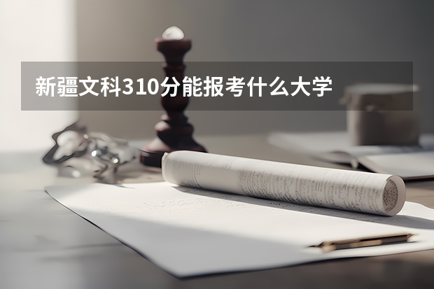 新疆文科310分能报考什么大学