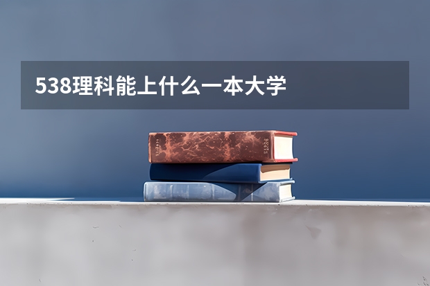 538理科能上什么一本大学