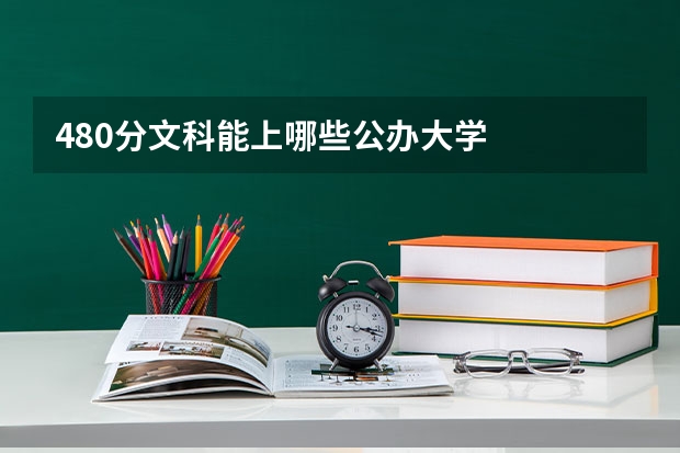 480分文科能上哪些公办大学
