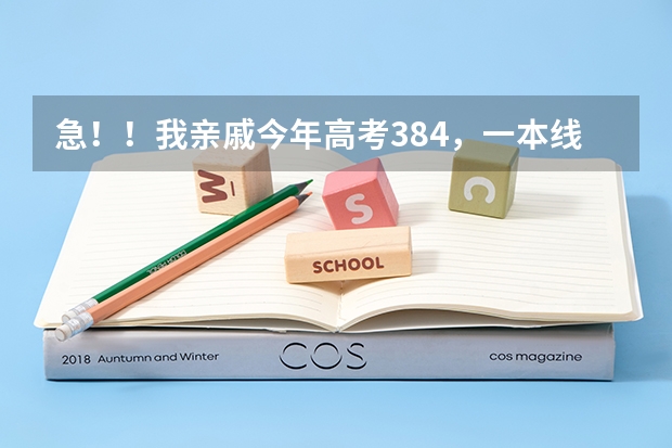 急!!我亲戚今年高考384,一本线348,江苏的,理科,这个分数能上什么好大学及专业?