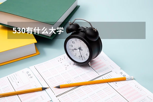 530有什么大学