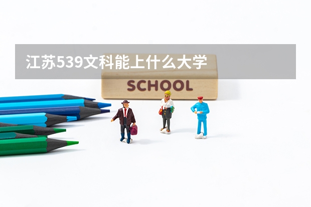 江苏539文科能上什么大学
