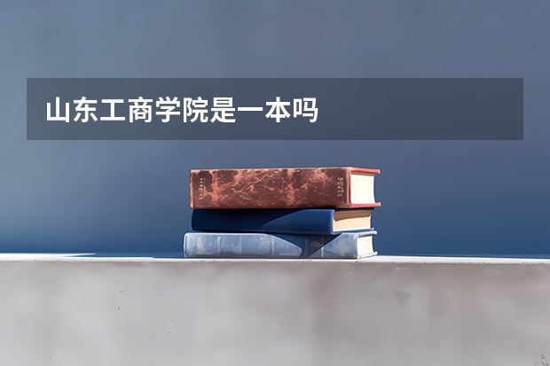 山东工商学院是一本吗