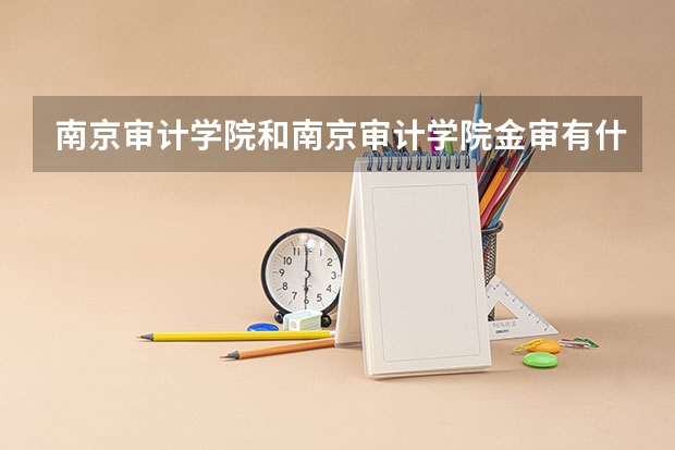 南京审计学院和南京审计学院金审有什么区别啊