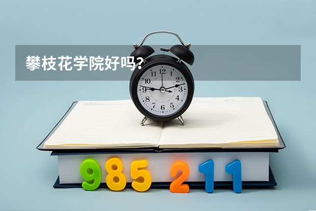 攀枝花学院好吗?