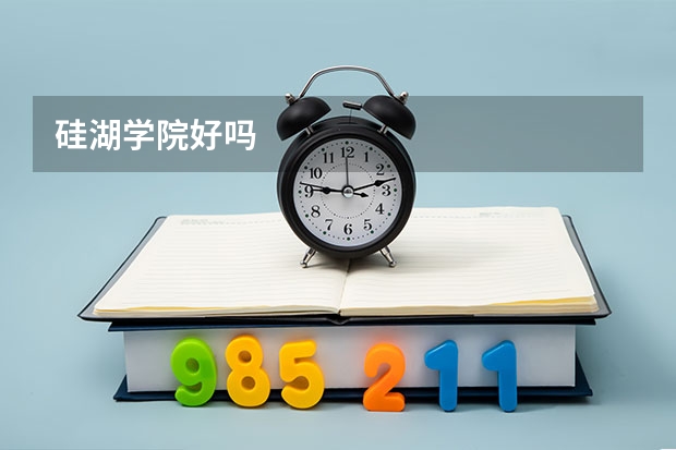 硅湖学院好吗