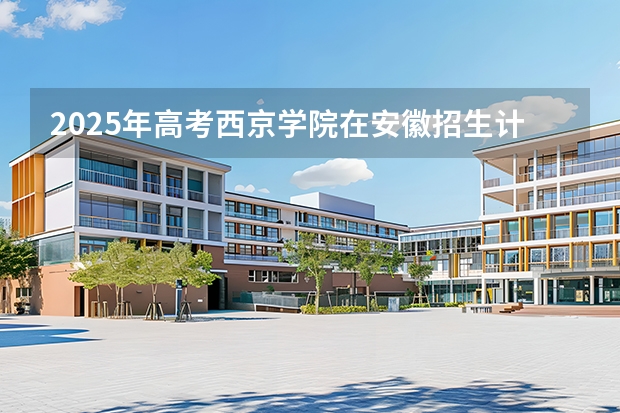 2025年高考西京学院在安徽招生计划怎么样