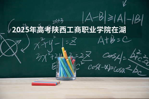 2025年高考陕西工商职业学院在湖北招生计划怎么样