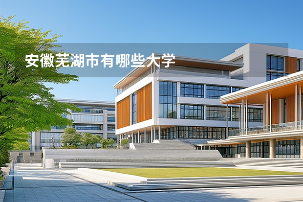 安徽芜湖市有哪些大学