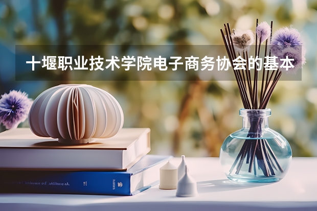 十堰职业技术学院电子商务协会的基本任务（郧阳师范高等专科学校十堰校区的数学与财经系）