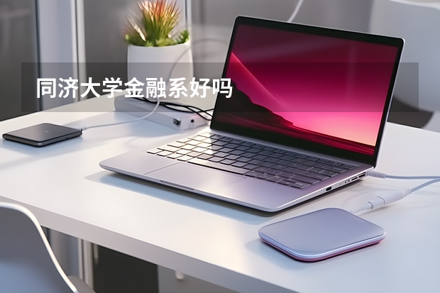 同济大学金融系好吗