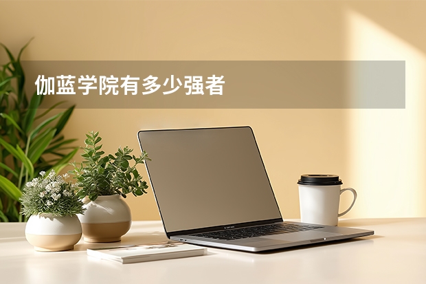 伽蓝学院有多少强者