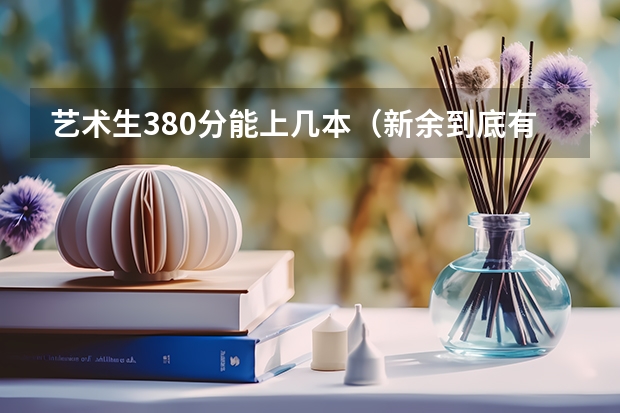 艺术生380分能上几本（新余到底有几所大学啊）