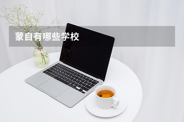 蒙自有哪些学校