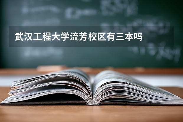 武汉工程大学流芳校区有三本吗