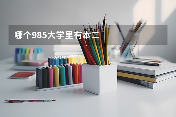 哪个985大学里有本二