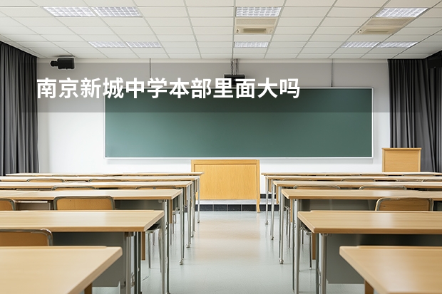 南京新城中学本部里面大吗