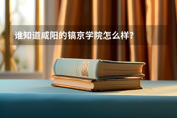 谁知道咸阳的镐京学院怎么样？