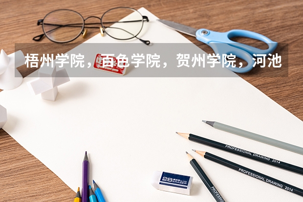 梧州学院，百色学院，贺州学院，河池学院哪个好