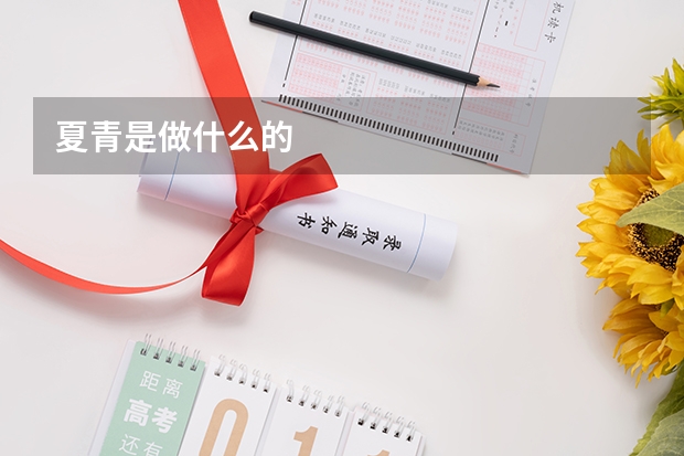 夏青是做什么的