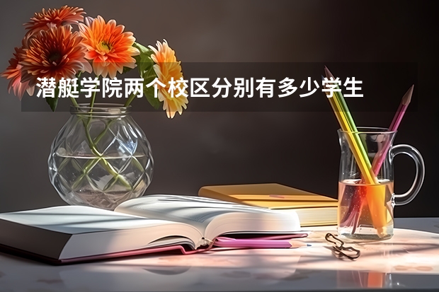 潜艇学院两个校区分别有多少学生