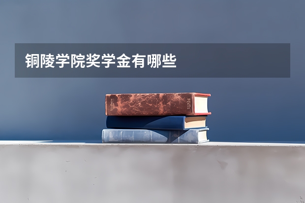 铜陵学院奖学金有哪些