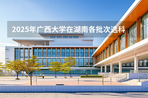 2025年广西大学在湖南各批次选科要求（2026年参考）