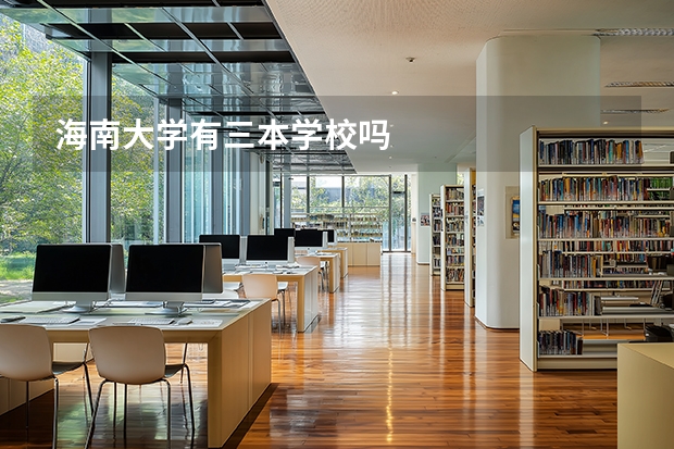 海南大学有三本学校吗