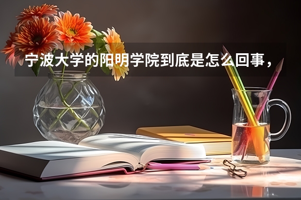宁波大学的阳明学院到底是怎么回事，是好是坏