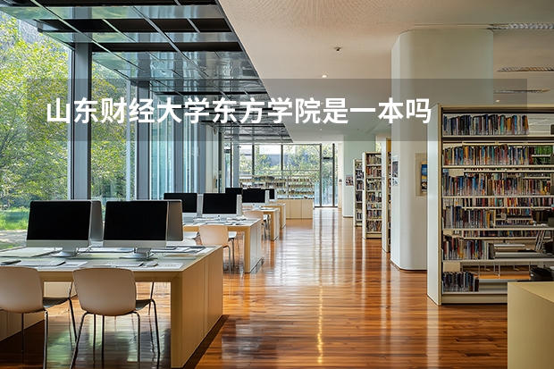 山东财经大学东方学院是一本吗