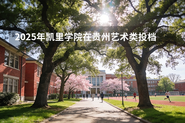 2025年凯里学院在贵州艺术类投档分数线（2026年参考）