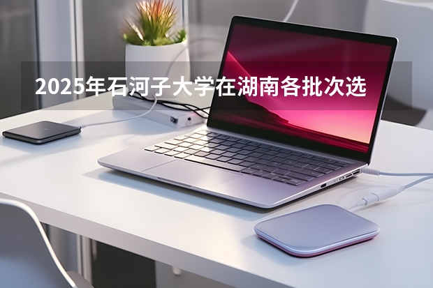 2025年石河子大学在湖南各批次选科要求（2026年参考）