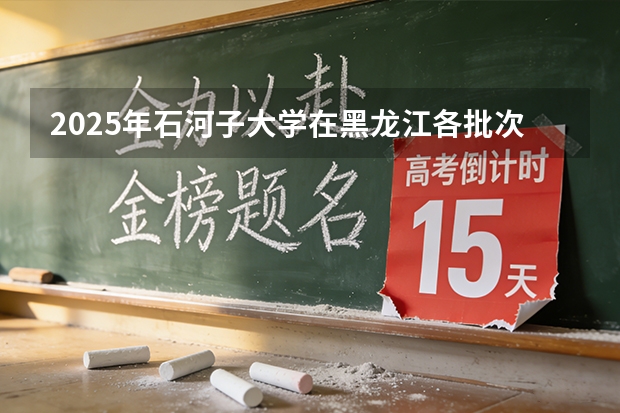 2025年石河子大学在黑龙江各批次选科要求（2026年参考）
