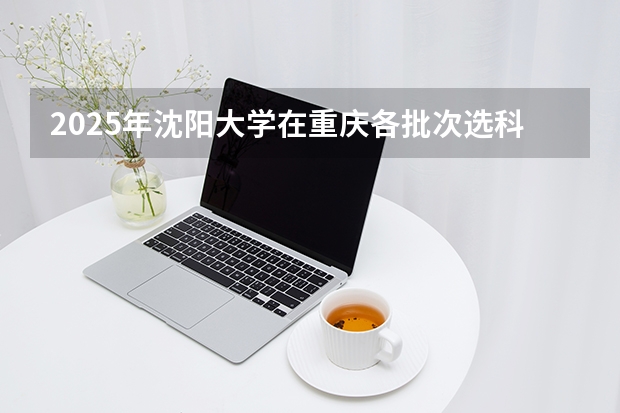 2025年沈阳大学在重庆各批次选科要求（2026年参考）