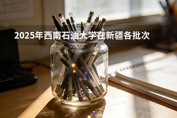 2025年西南石油大学在新疆各批次选科要求（2026年参考）