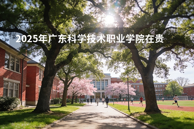 2025年广东科学技术职业学院在贵州艺术类投档分数线（2026年参考）