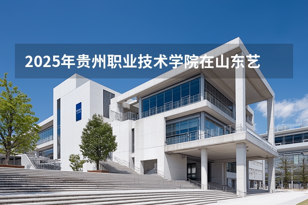 2025年贵州职业技术学院在山东艺术类投档分数线（2026年参考）