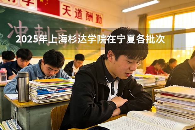 2025年上海杉达学院在宁夏各批次选科要求（2026年参考）