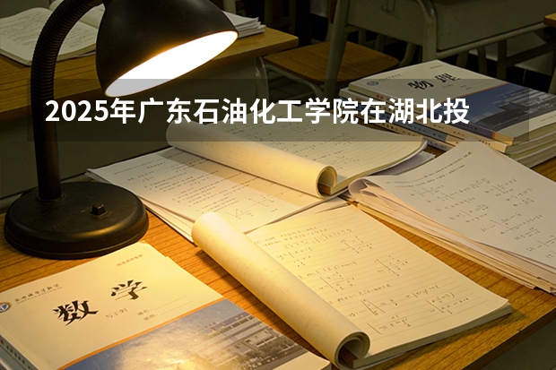 2025年广东石油化工学院在湖北投档分数线（2026年参考）