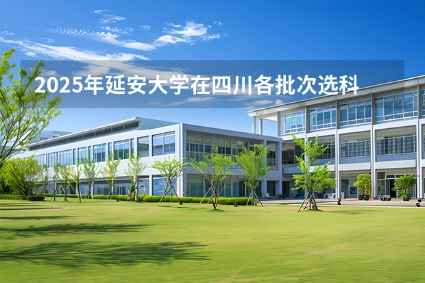 2025年延安大学在四川各批次选科要求（2026年参考）