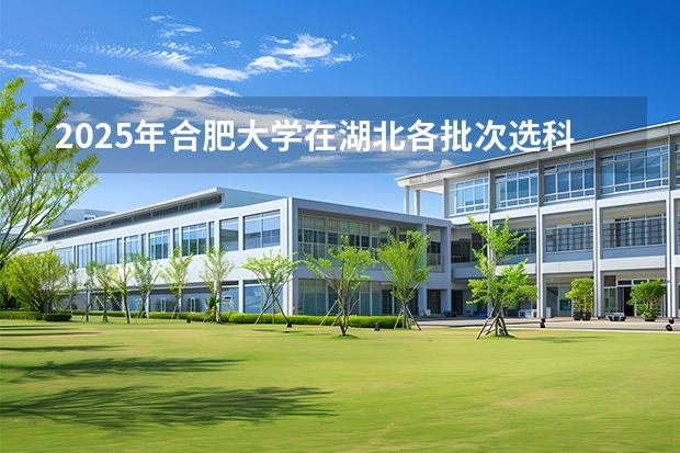 2025年合肥大学在湖北各批次选科要求（2026年参考）