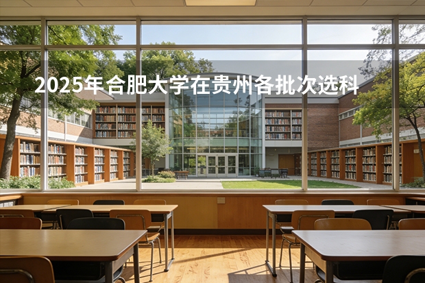 2025年合肥大学在贵州各批次选科要求（2026年参考）