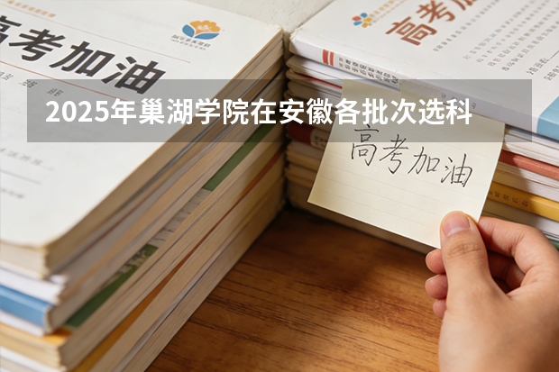 2025年巢湖学院在安徽各批次选科要求（2026年参考）