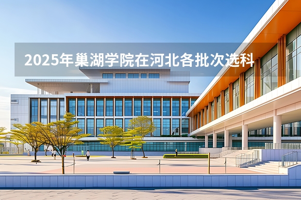 2025年巢湖学院在河北各批次选科要求（2026年参考）