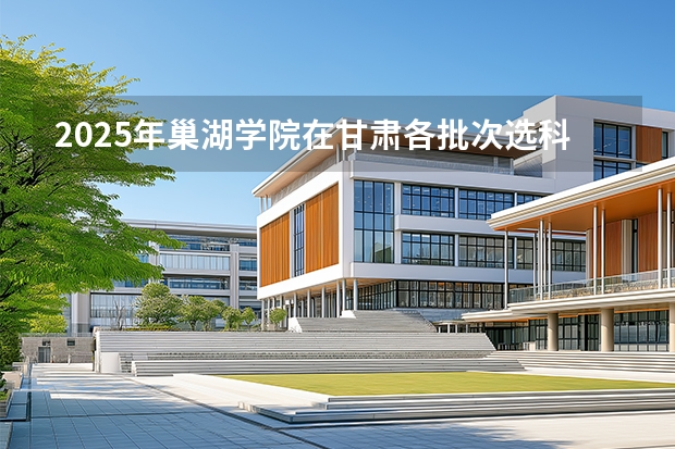 2025年巢湖学院在甘肃各批次选科要求（2026年参考）