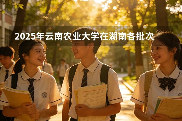 2025年云南农业大学在湖南各批次选科要求（2026年参考）